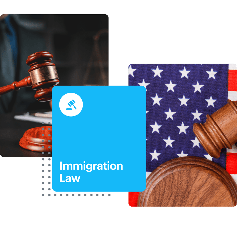 Immigration Law